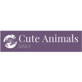 Cute Animals Daily